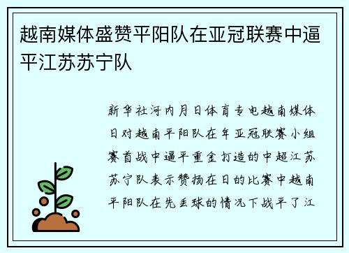 越南媒体盛赞平阳队在亚冠联赛中逼平江苏苏宁队
